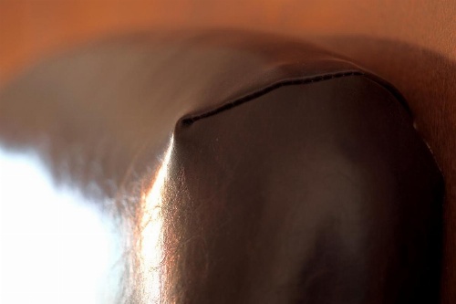 The Antlers, A Wyndham Hotel image 8